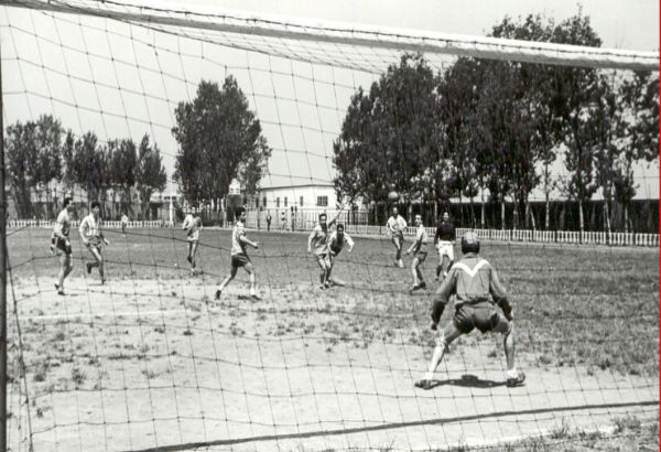 Plantilla 1954 – 1955