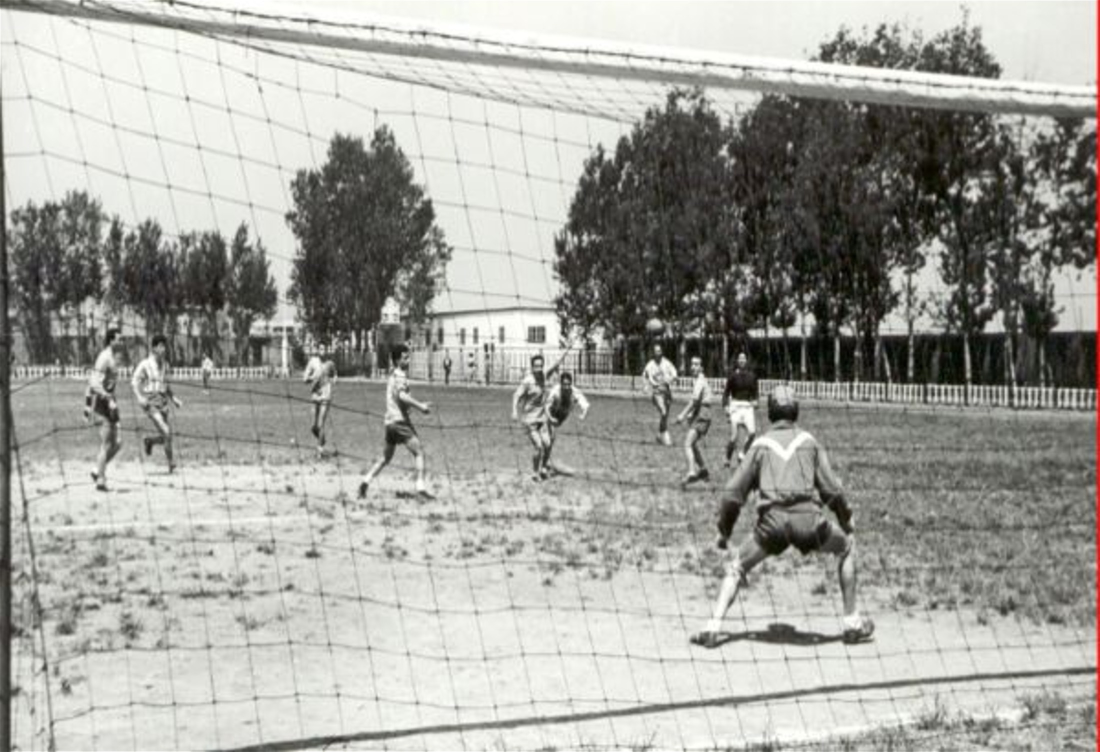 Plantilla 1954/55