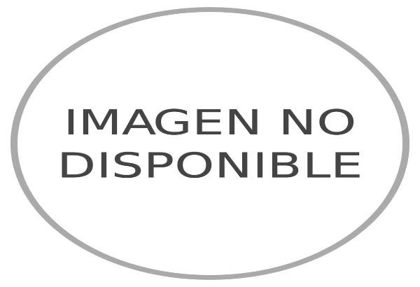 Plantilla 1953 – 1954